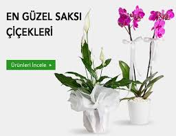 Aydın Didim Çiçekçi