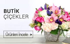 Didim çiçek   saksı çiçekleri