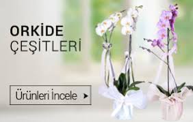 Aydın Didim çiçekçiler butik çiçekler